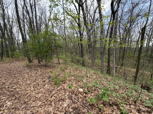 $199,900 | 5241 Moscow Road, Spring Arbor, MI 49283