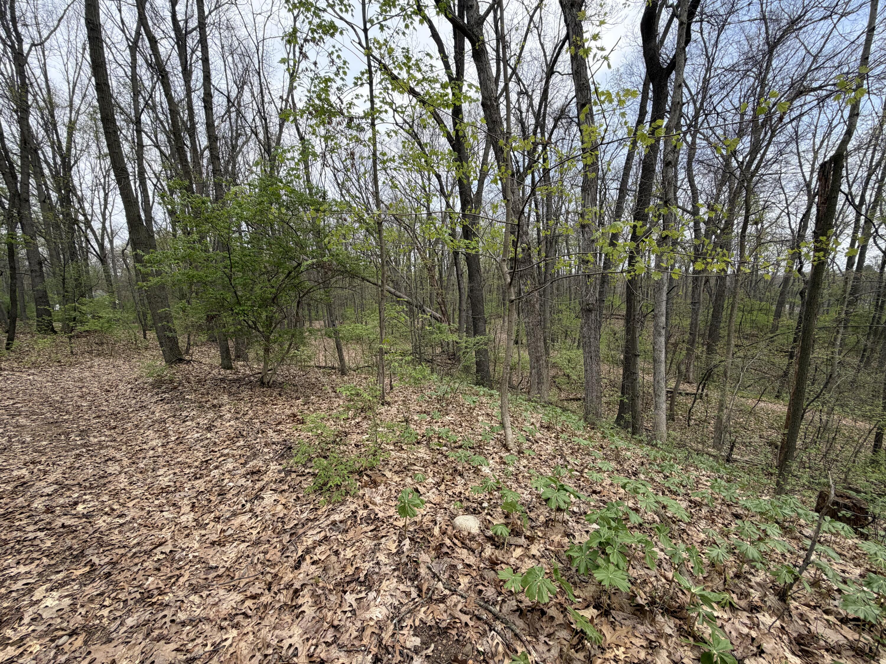 5241 Moscow Road Spring Arbor, MI 49283 - Photo 3 of 25 IMG_3193