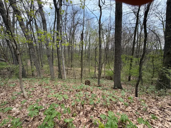 $199,900 | 5241 Moscow Road, Spring Arbor, MI 49283