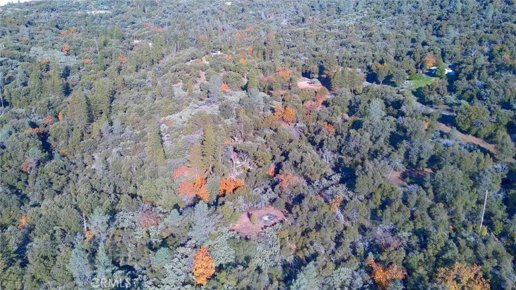 20 Harris Cut Off Road Mariposa, CA 95338 - Photo 4 of 10 a picture of trees