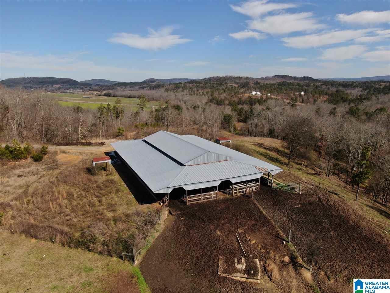 79 Highway 79 Cleveland, AL 35049 - Photo 12 of 36