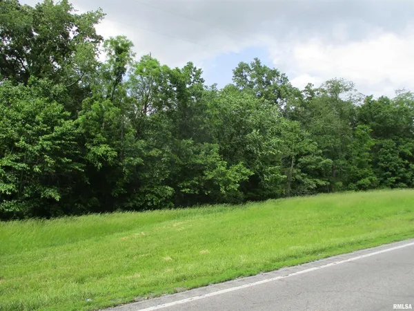 a view of green field with trees in the background