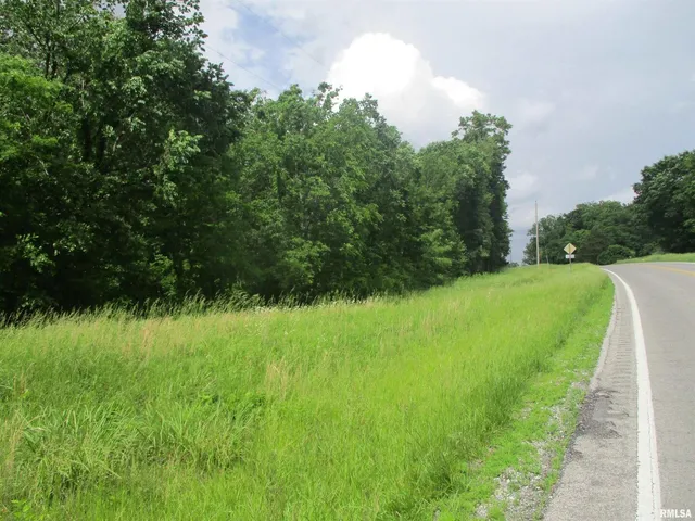a view of a grassy area
