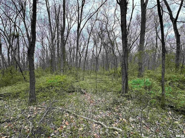 a view of a green field with lots of trees
