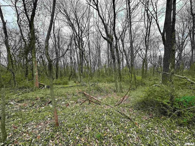 a view of a green field with lots of bushes