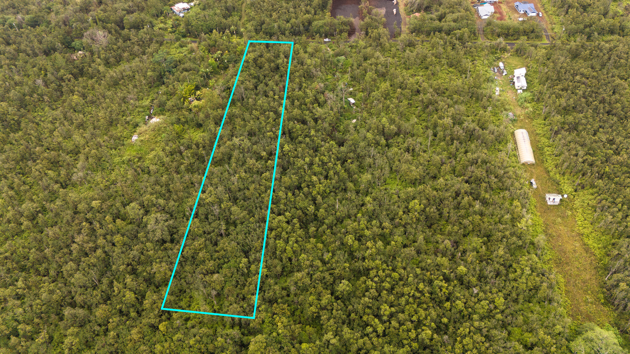 11-2762 Lot 7428 Hibiscus St Mountain View Mountain View, HI 96771 - Photo 5 of 9 a view of a yard with plants and large trees