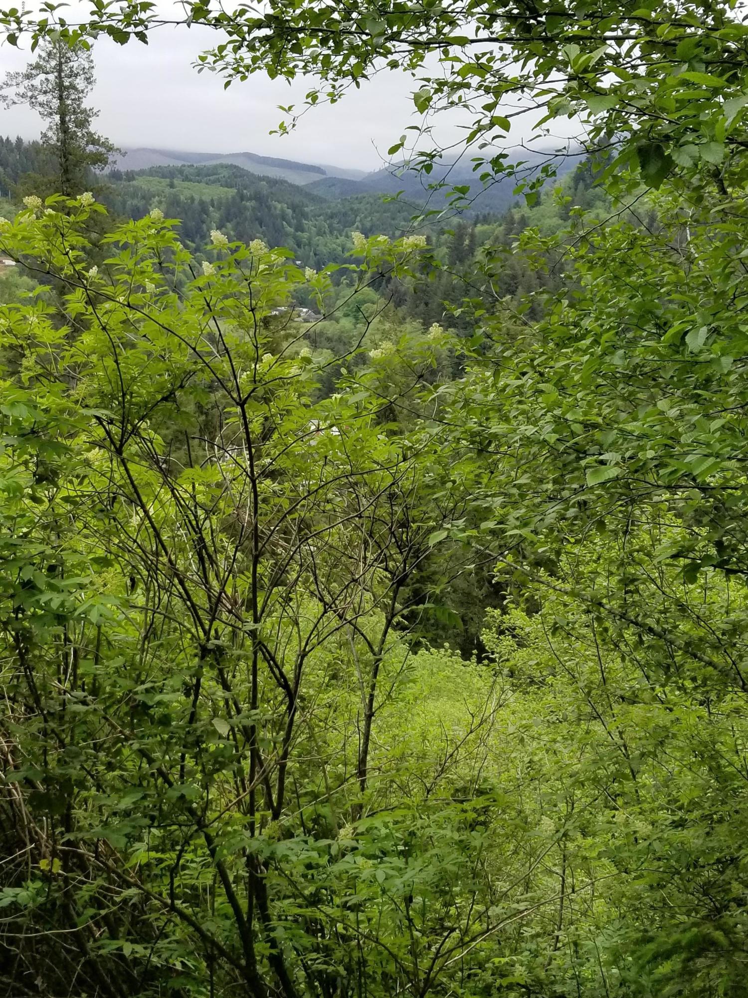 Tl#200 North North Bank Road Otis, OR 97368 - Photo 4 of 9 20180517_143211