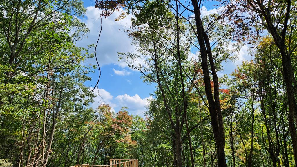 Lot 32 Calvender Road Turtletown, TN 37391 - Photo 1 of 15 Main View