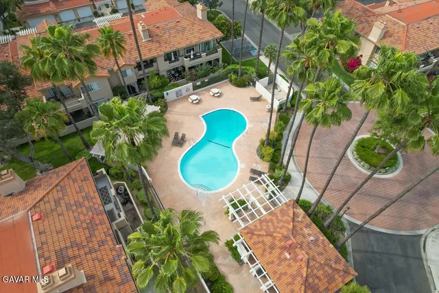 a close up of potted plant in front of a house