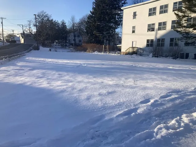 a view of a yard with a road