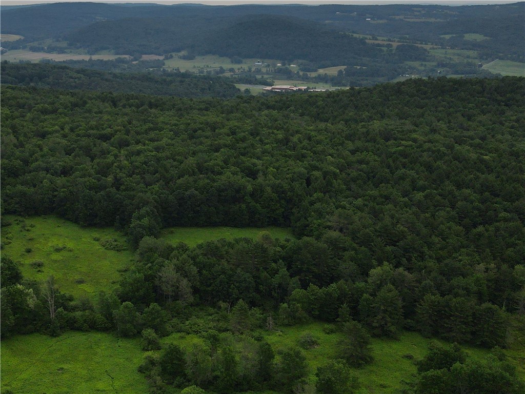 Lot 2 Oregon Road Gilbertsville, NY 13776 - Photo 1 of 7