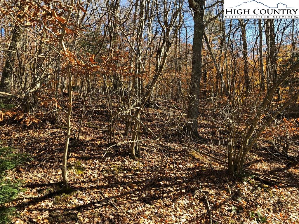 106 Locust Ridge Road Beech Mountain, NC 28604 - Photo 1 of 4 Gallery Image 1