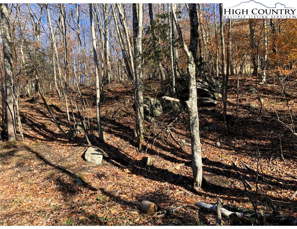 106 Locust Ridge Road Beech Mountain, NC 28604 - Photo 3 of 4 Gallery Image 3
