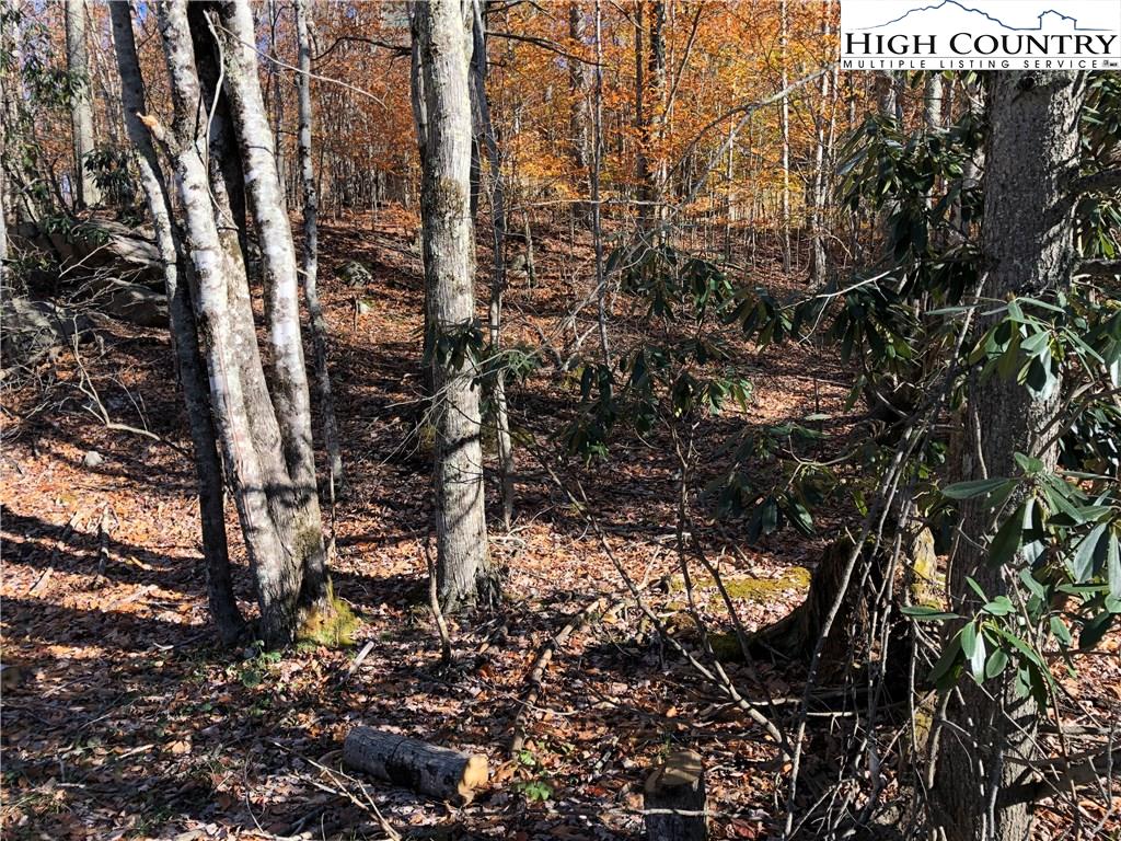 106 Locust Ridge Road Beech Mountain, NC 28604 - Photo 4 of 4 Gallery Image 4