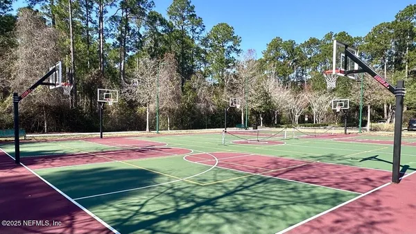 a view of a park with large trees