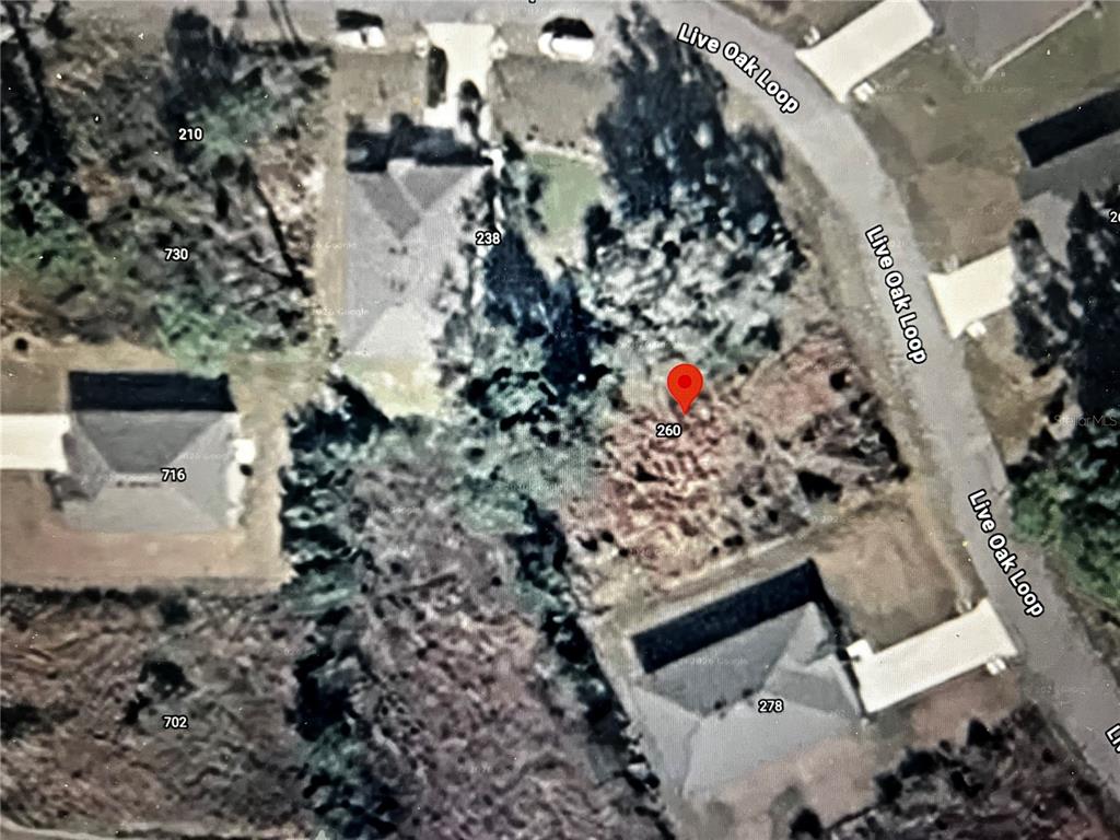 260 Live Oak Loop Crescent City, FL 32112 - Photo 3 of 18