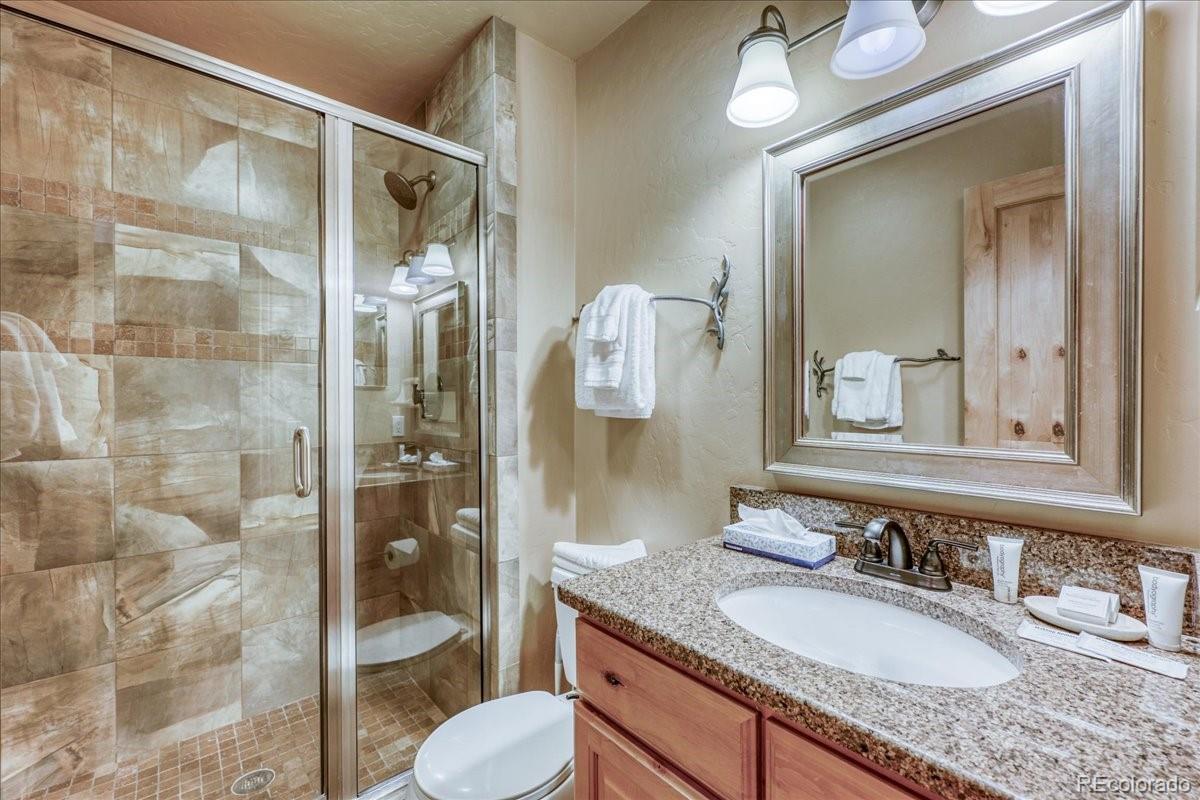 200 North Ridge Street, Unit R1 Breckenridge, CO 80424 - Photo 5 of 27 a bathroom with a granite countertop sink toilet and shower