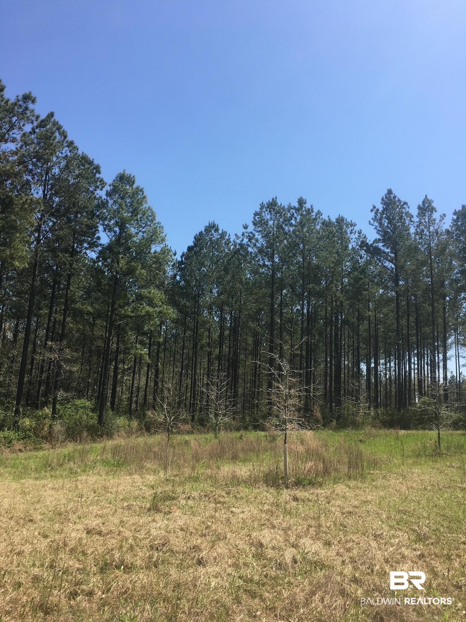 0 Foshee Road Brewton, AL 36426 - Photo 8 of 32