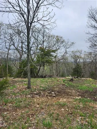 $45,000 | 41 Ridgewood Circle, Linn Valley, KS 66040