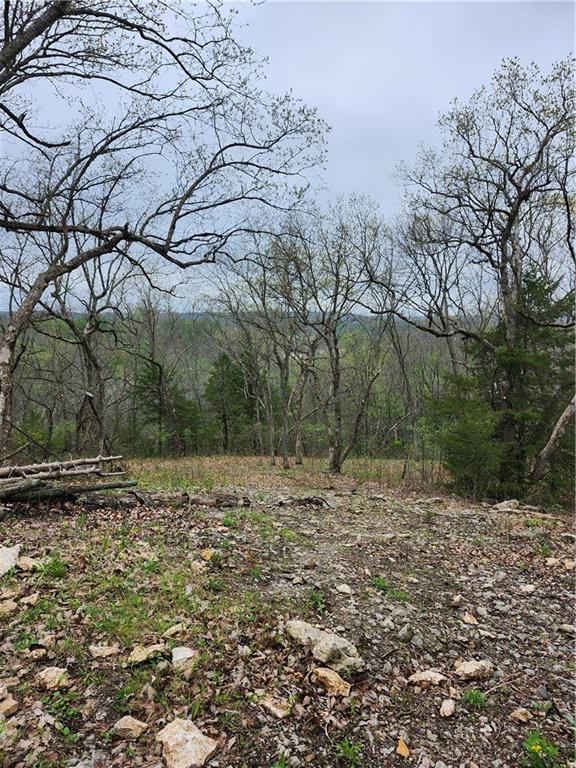 41 Ridgewood Circle Linn Valley, KS 66040 - Photo 4 of 13