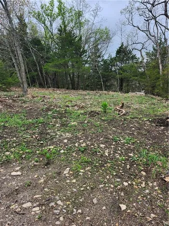 $45,000 | 41 Ridgewood Circle, Linn Valley, KS 66040