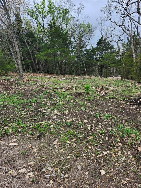 41 Ridgewood Circle Linn Valley, KS 66040 - Photo 5 of 13