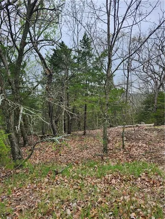 $45,000 | 41 Ridgewood Circle, Linn Valley, KS 66040