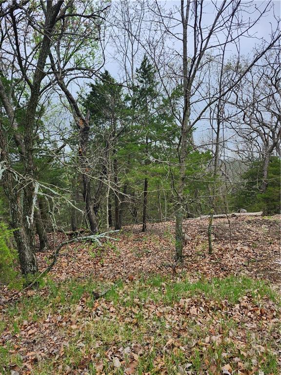 41 Ridgewood Circle Linn Valley, KS 66040 - Photo 6 of 13