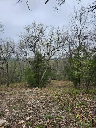 $45,000 | 41 Ridgewood Circle, Linn Valley, KS 66040