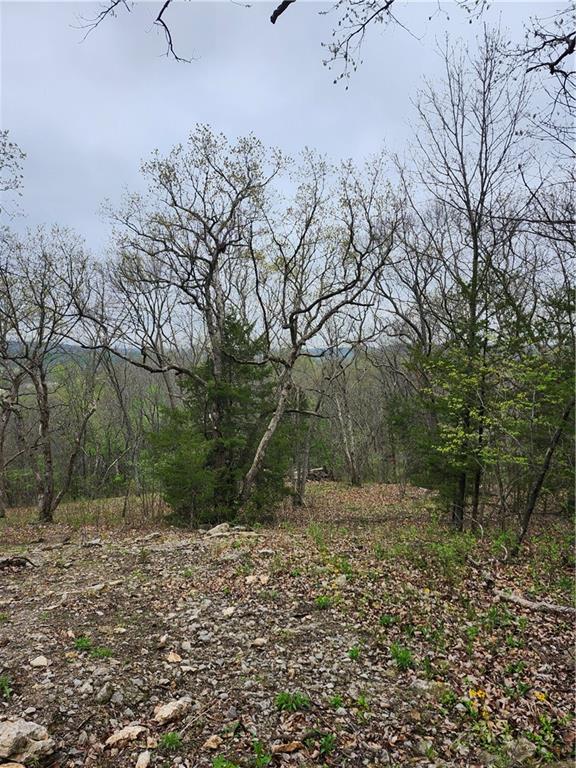 41 Ridgewood Circle Linn Valley, KS 66040 - Photo 8 of 13