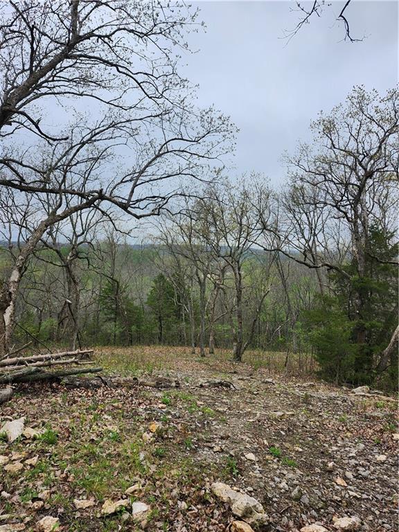 41 Ridgewood Circle Linn Valley, KS 66040 - Photo 9 of 13