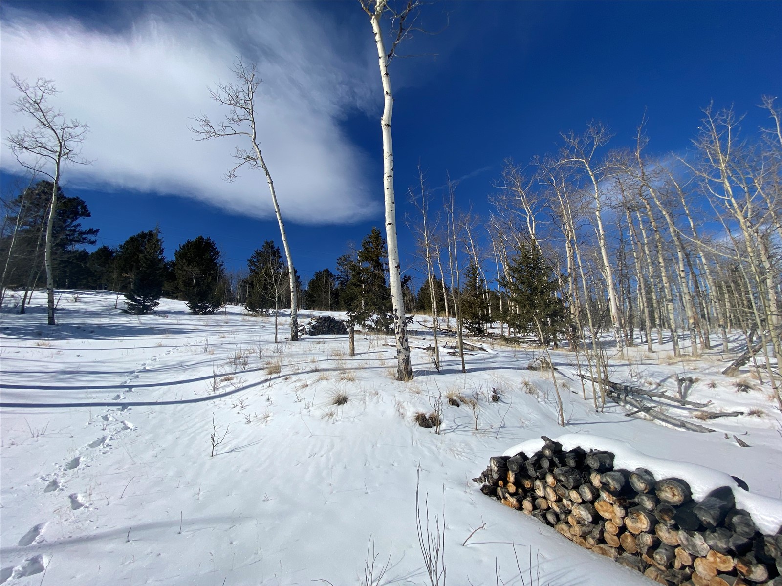 893 Lumberjack Road Fairplay, CO 80440 - Photo 11 of 34 Gallery Image 11