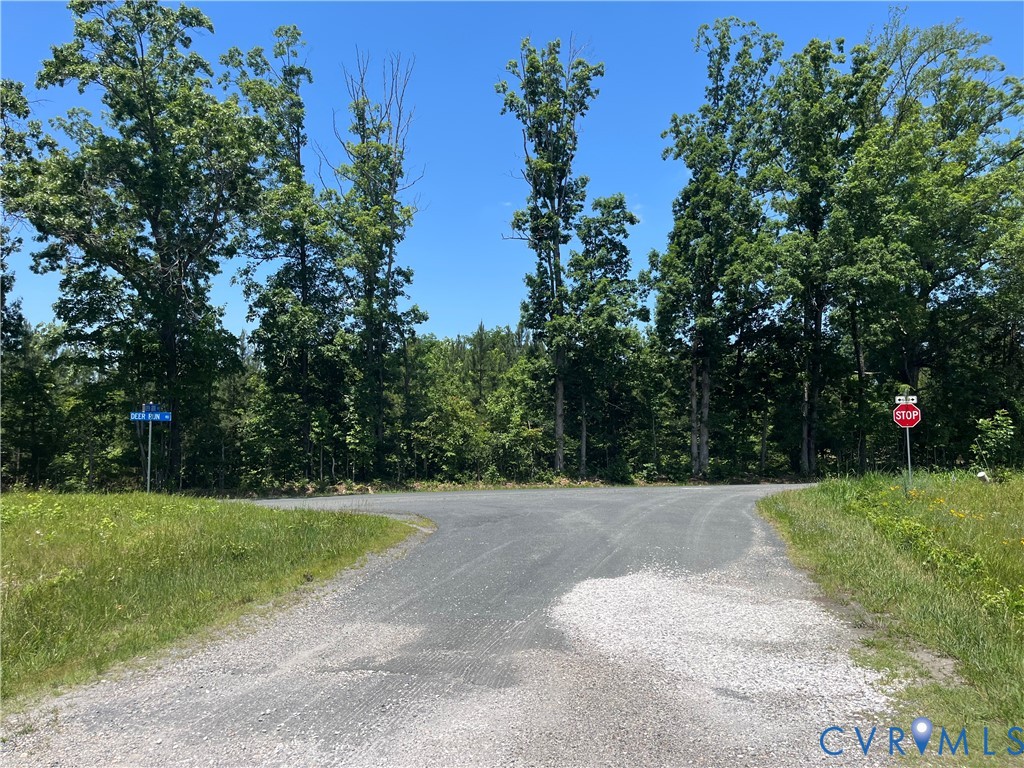 0 Aspen Grove Road Farmville, VA 23901 - Photo 4 of 9