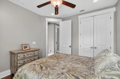 a view of a yard with plants and trees