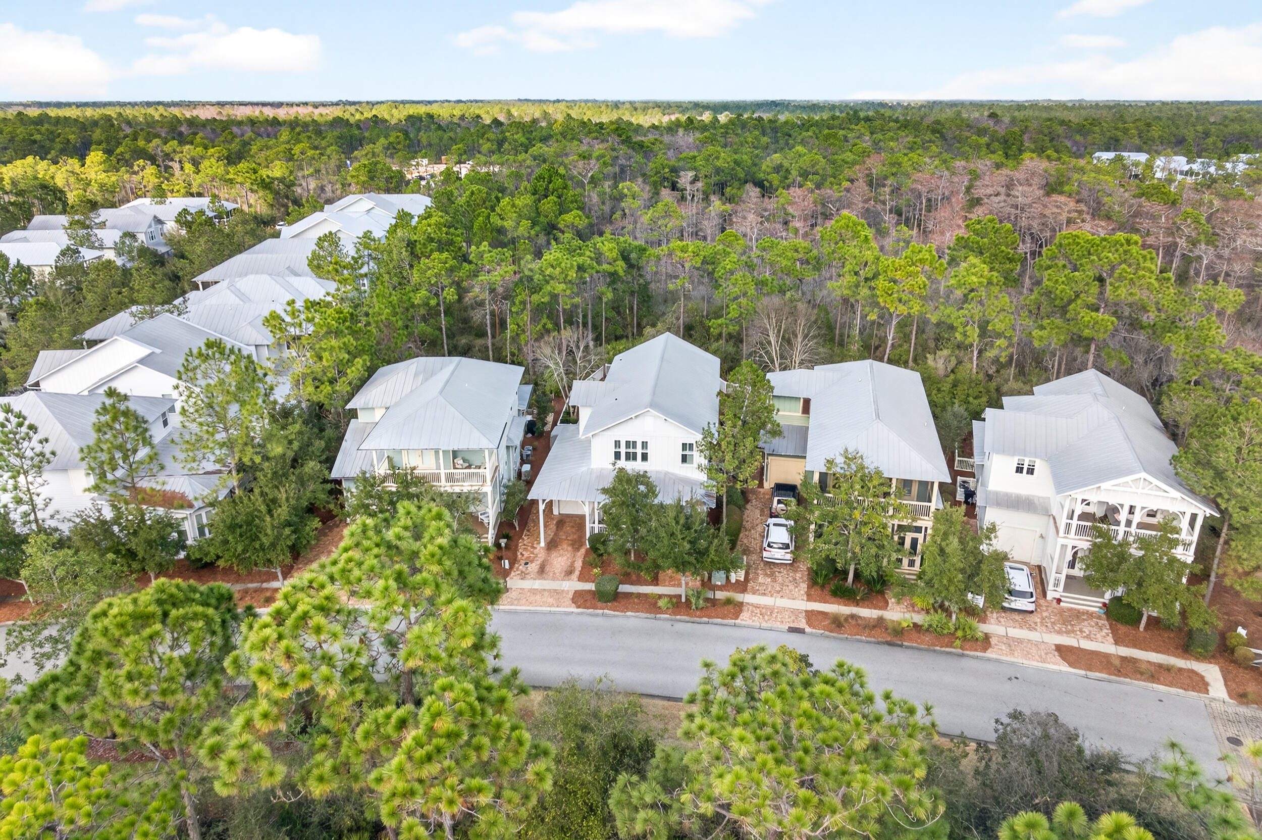 563 Sandgrass Boulevard Santa Rosa Beach, FL 32459 - Photo 60 of 73 DJI_0633