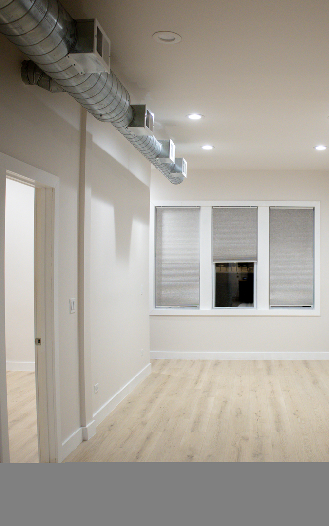 1812 West 23rd Street, Unit LL Chicago, IL 60608 - Photo 3 of 10