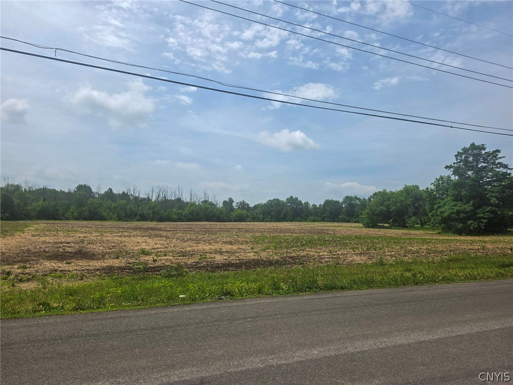 0 Hoag Road Rome, NY 13440 - Photo 4 of 5