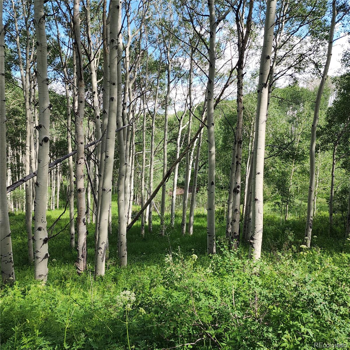 0 Z S Road Whitewater, CO 81527 - Photo 12 of 27 a view of a garden