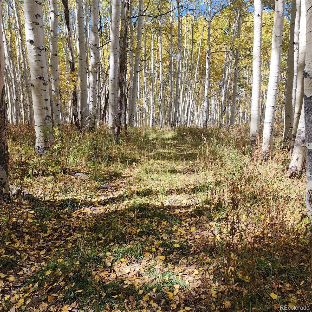 0 Z S Road Whitewater, CO 81527 - Photo 16 of 27 a view of a backyard of the house