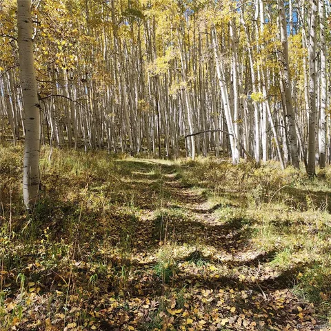 $1,540,000 | 0 Z S Road, Whitewater, CO 81527