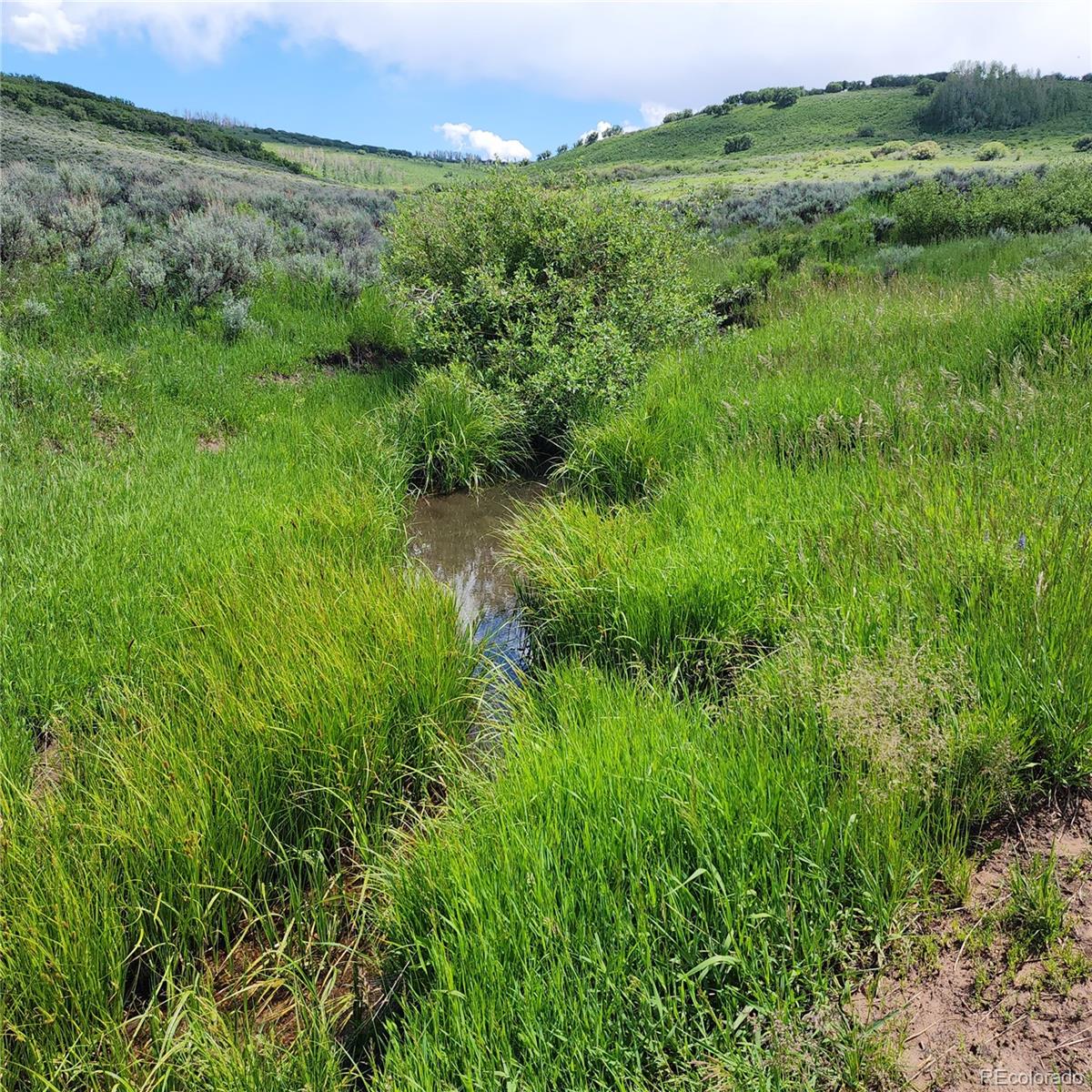 0 Z S Road Whitewater, CO 81527 - Photo 3 of 27 a view of a lush green outdoor space with a lake view and mountain view