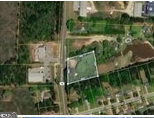 a view of a tree in a yard