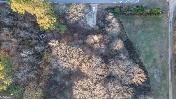 a view of a yard with a tree