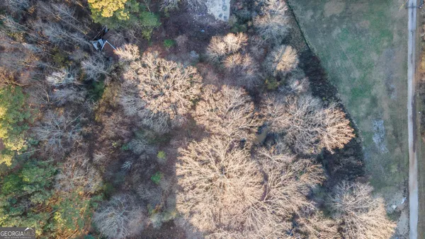 a view of a yard with plants and trees