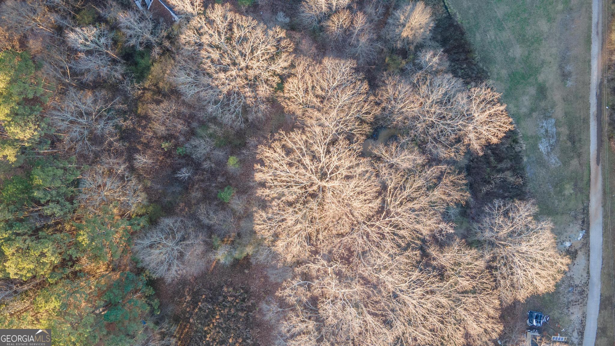 10717 Highway 36 Covington, GA 30014 - Photo 9 of 14