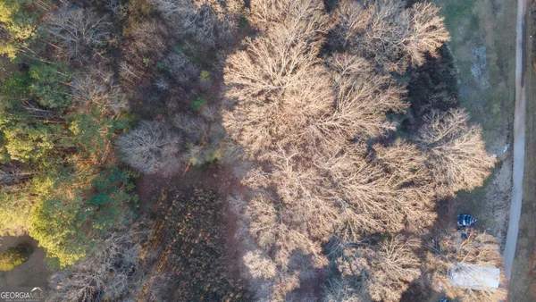a backyard of a house with lots of green space and fog