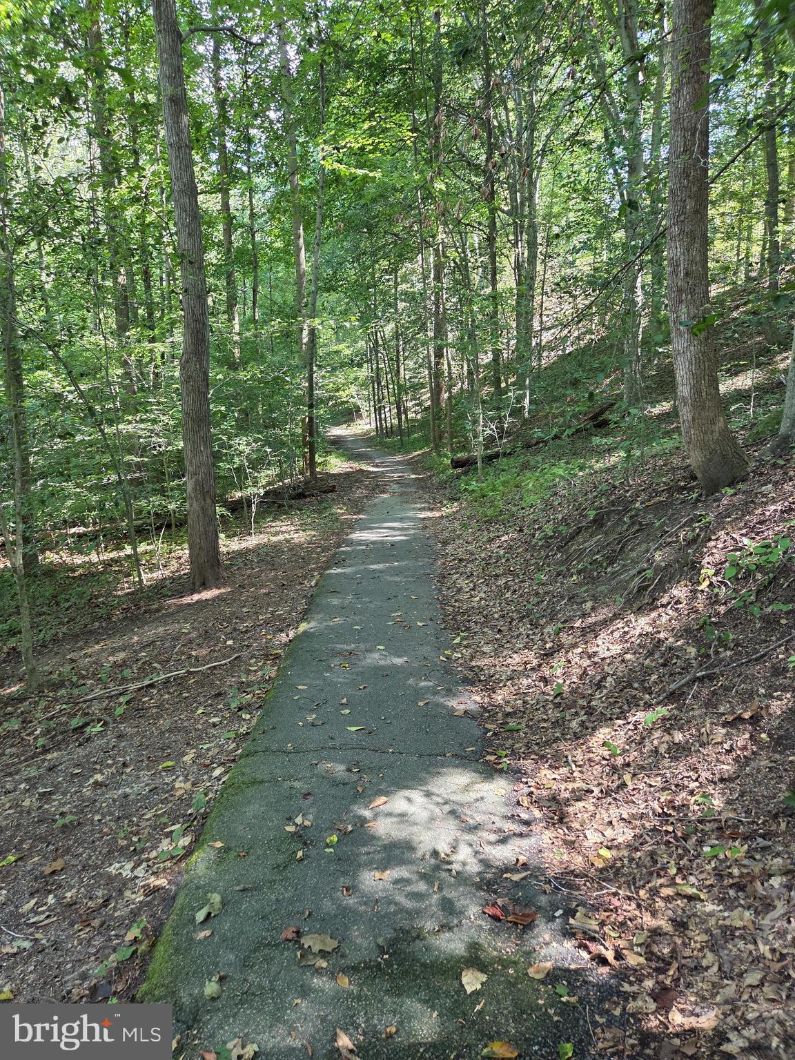 7606 Davis Field Lane Springfield, VA 22153 - Photo 60 of 61 Cross County Trail