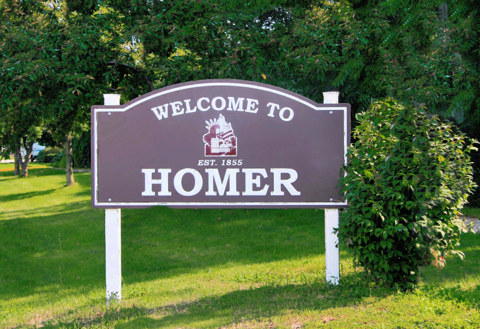 2636 South Homer Lake Road Homer, IL 61849 - Photo 126 of 176
