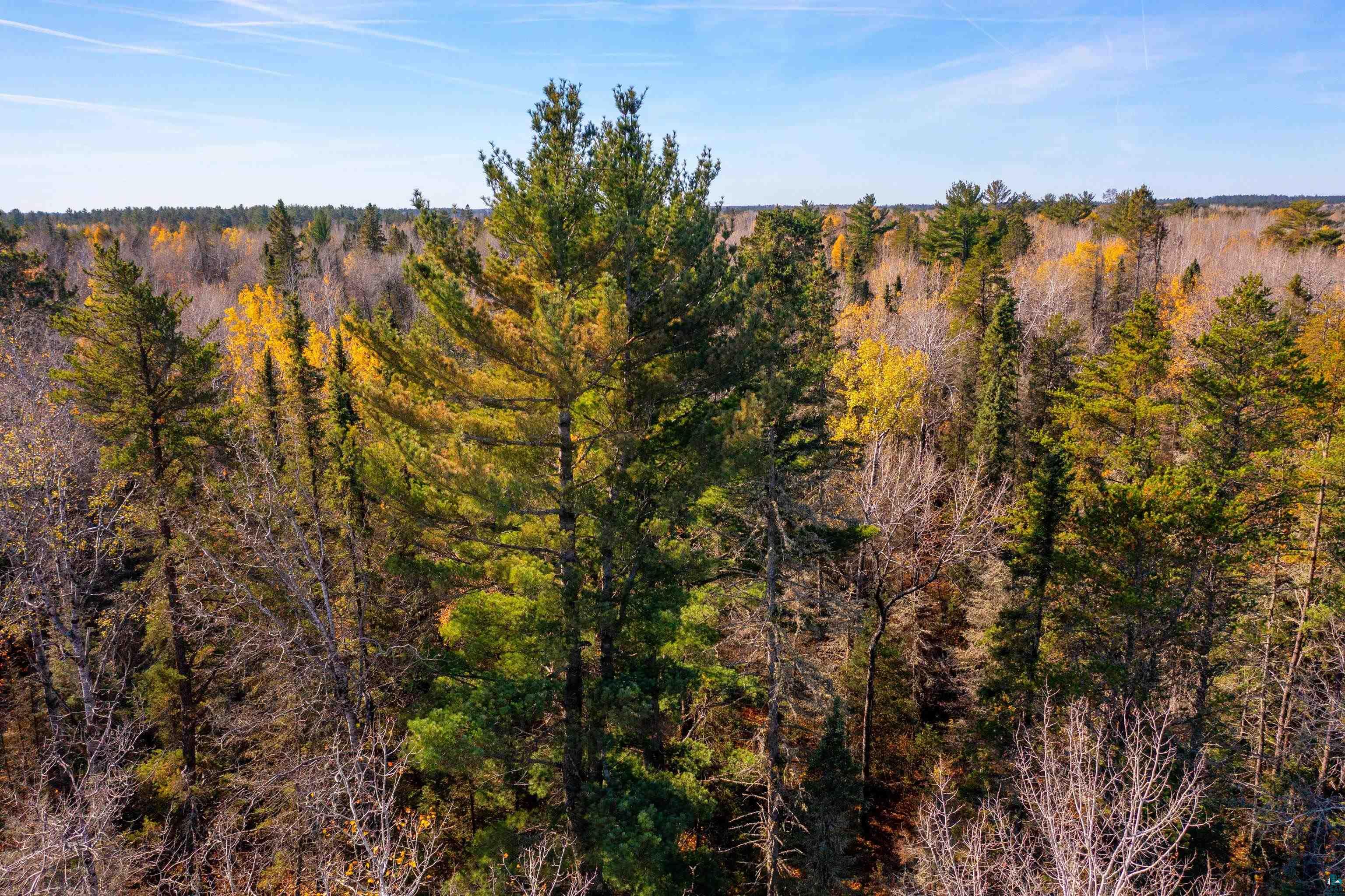 Xxx Camp House Road Brimson, MN 55602 - Photo 23 of 36 Gallery Image 23