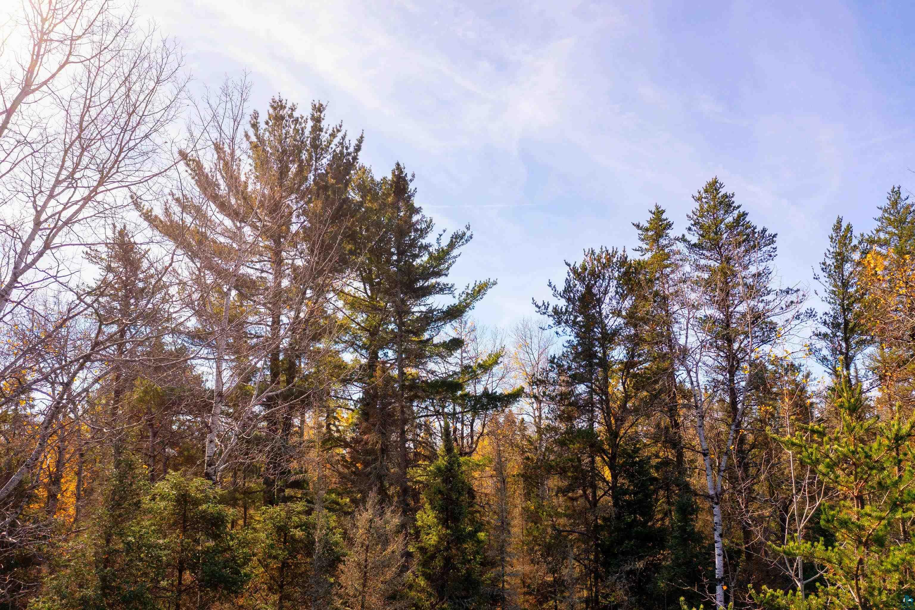 Xxx Camp House Road Brimson, MN 55602 - Photo 24 of 36 Gallery Image 24